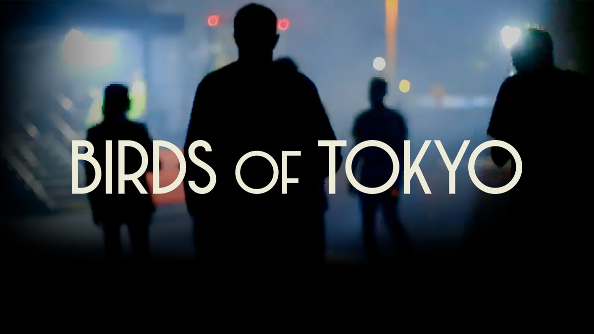Birds of Tokyo thumbnail