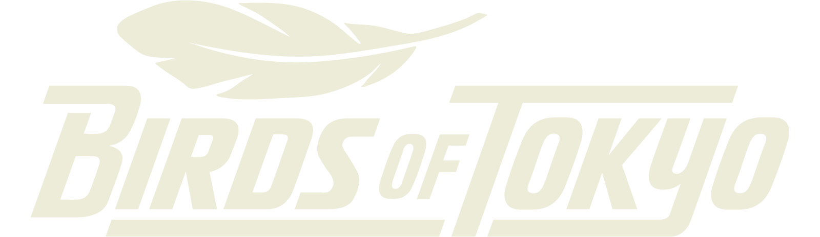 Birds of Tokyo
